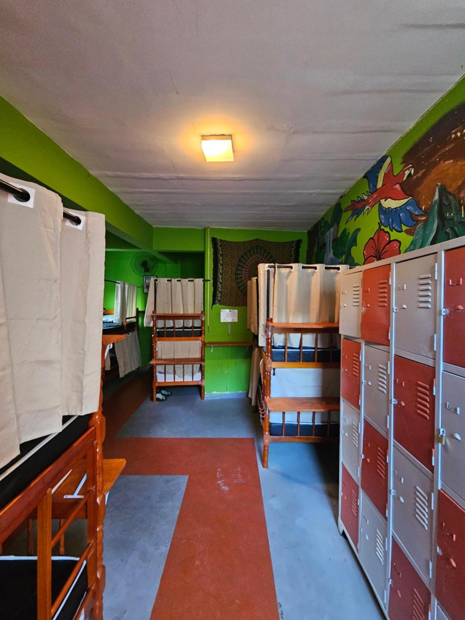 Bunk Bed Mixed Dormitory Room